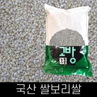 고방 / 국산 / 쌀보리쌀 / 10kg / 2023년산 / 무료배송