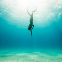 패디 어드밴스드 프리다이버 PADI Advanced Freediver