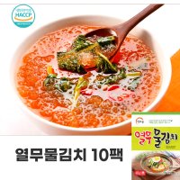 열무 물김치 10팩 맛있는 캠핑 음식 개별포장 맘이샵