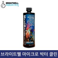 브라이트 웰 마이크로 박터 클린 (250ml)