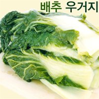 삶은 배추 시래기 우거지 10kg 업소용 나물