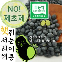 국산 서리태 속청 쥐눈이콩 약콩 무농약 검은콩 검정콩