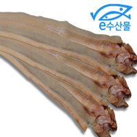 마산어시장 손질한 말린장어 3마리 국산 마른장어 바다장어 반건조장어 대 조림 구이용