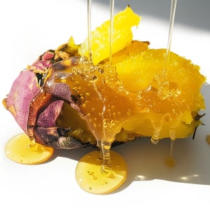 함구마 꿀고구마 베니하루카 2kg 3kg 5kg 세척 황금호박고구마