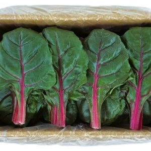 야채왕 적근대 2kg, 1개