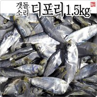 [갯돌소리전복] 맛있는 육수가 시원하게 우러나는 디포리 1.5kg 완도 산지직송