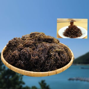 완도 염장 꼬시래기 1kg 2kg 5kg 고시래기 해초류