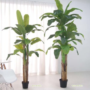 바나나 인조나무 대형 열대식물 카페인조목 인테리어 조화 개업화분 2.1m/2.5m 2종
