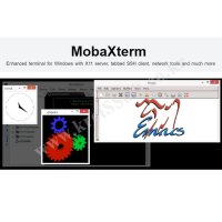 MobaXterm Professional 라이선스