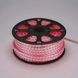 LED 줄네온 플렉시블 논네온 50M RGB 색상 간접조명 LED바대체조명