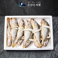 수산나마켓- (가정용) 영광 법성포 보리굴비 특대사이즈 10미