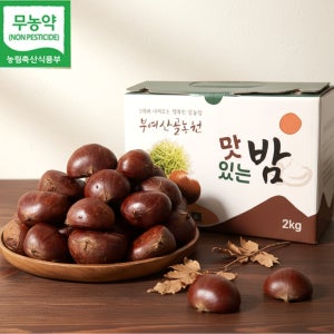 산골농원 대 2kg 공주 부여 알밤 햇밤 생율 군밤용밤 칼집군밤 공주알밤