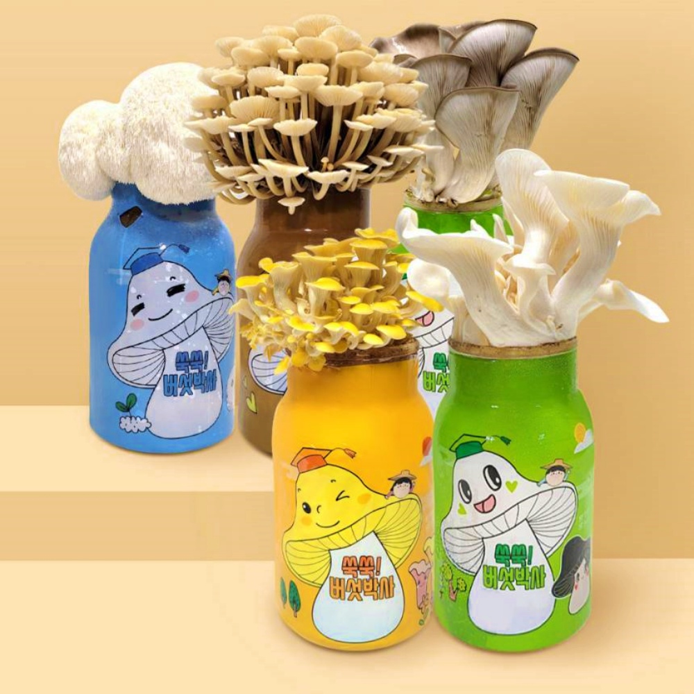 느타리 <b>노루궁뎅이 버섯</b> 키우기 녹각영지 키트 배지 세트