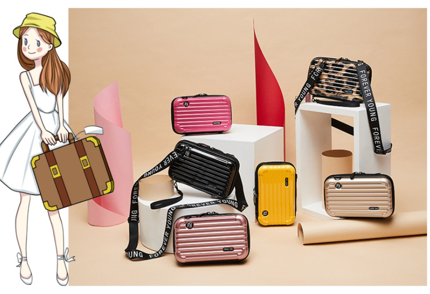 하드 캐리어 파우치 가방 / 여행필수 소품 가방