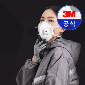 3M 8955K 방진 1급 마스크 (10개입)