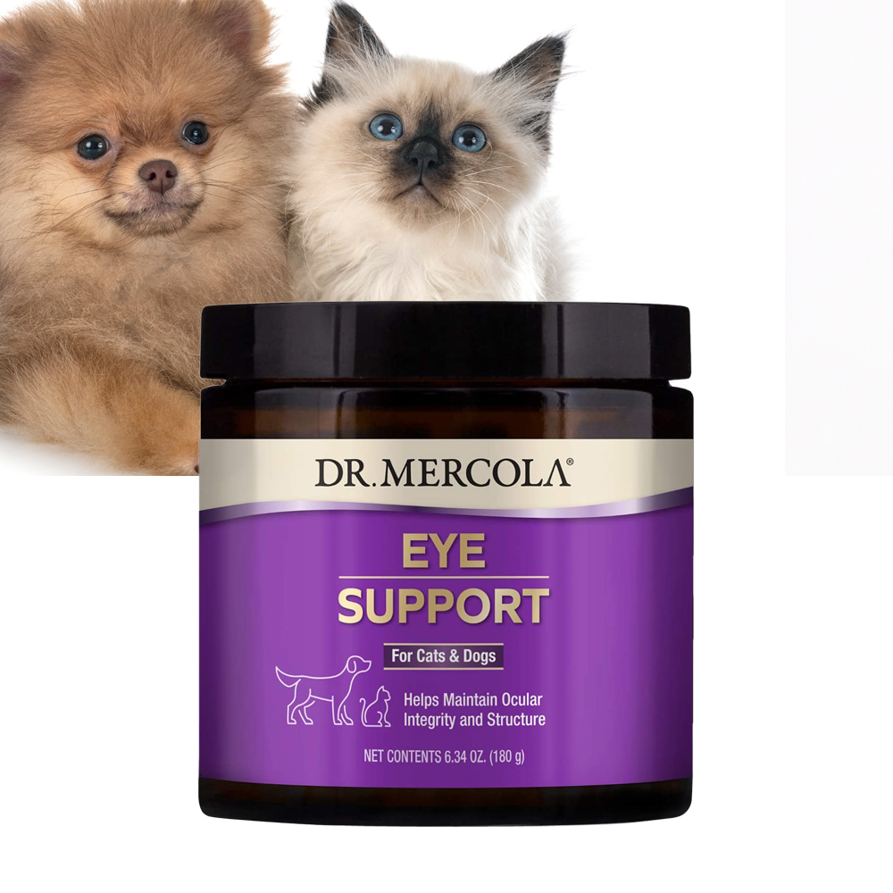 <b>닥터머콜라</b> <b>Dr. Mercola</b> 고양이/강아지용 눈건강영양제 파우더 Eye Support For Cats and Dogs 180g
