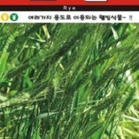 웰빙식품 호밀 씨앗(600g)(A0895)