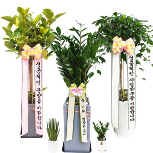 제주화분배달 개업식 개업