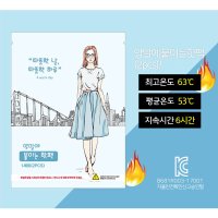 HOTPACK 군인용 발바닥 양말 붙이는 일회 휴대 용 핫팩 대량 2P 400개 박스