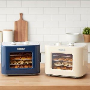 리큅 스텐 4단 미니 식품건조기 LD-401SP