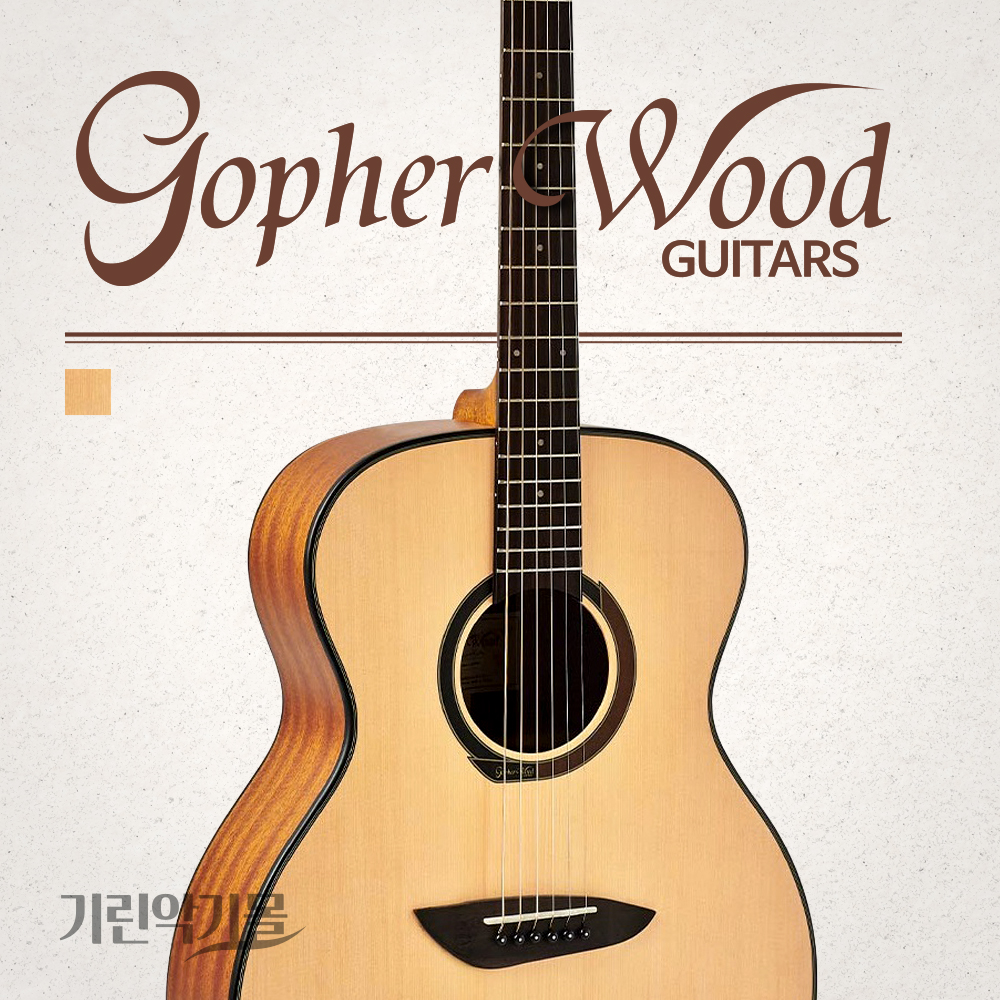 [특별사은품]고퍼우드 G110 NS 무광 OM바디 어쿠스틱 통기타