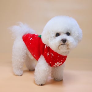 크리스마스 눈꽃 트리니트 반려견옷