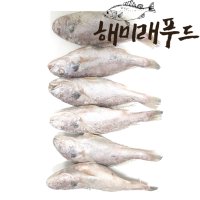 국내산 백조기 500g 냉동 조기 구이 조림 제수용