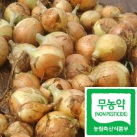 국산 친환경 양파 무농약 햇양파 3kg 전남 황토양파