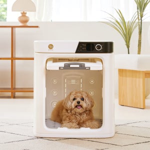 페페 펫드라이룸 DR-100PRO 소형견용 강아지 목욕 드라이룸 드라이기 애견 펫 건조기