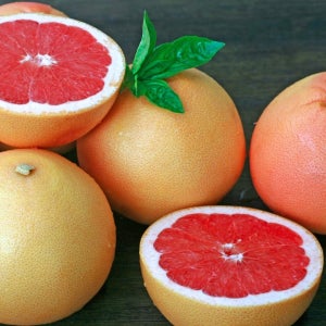 이스라엘 레드자몽 5 10 20 50과 미국산 자몽청