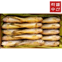 부세 조기 15마리 제수용 보리굴비용