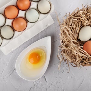 난각번호1번 유정란 계란 난각번호1번계란 달걀 초란 [산속유정란]