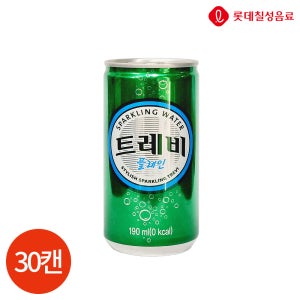롯데 트레비 플레인 캔 190ml x 30캔