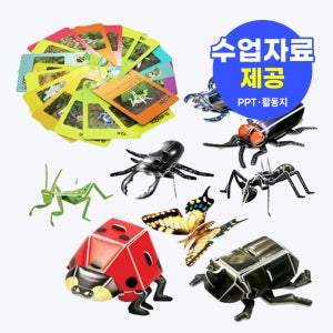교과서에 나오는 한국의 곤충들 16종 만들기 (학습카드 및 놀이판 포함)