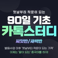 [90일 중국어] 90일간 중국어 기초 마스터하기 (작문연습은 덤, 말이 되는 중국어)