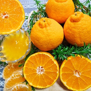 제주 한라봉 선물세트 3kg 5kg 10kg 가정용 산지직송