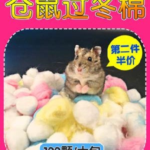 토끼집 겨울 온난화 꽃다람쥐 토끼 금사곰 홀랜드 돈복쥐 꿀주머니 날다람쥐 용품