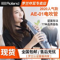 입문용색소폰 초보자용색소폰 롤랑 AE10 트랜스폰더 AE-05 일렉트릭 색소폰