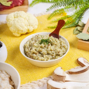 꼭지숟깔 수제 중기 이유식 250ml 350ml 5팩 1단계 2단계 3단계