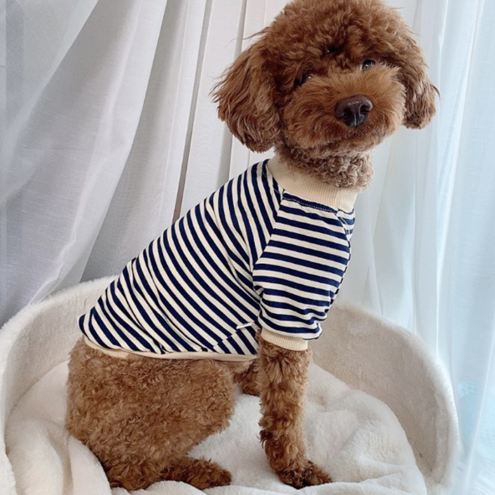 [라스트사이즈] 스트라이프 맨투맨 티셔츠 강아지옷