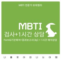 MBTI 정식검사 온라인 FormQ기본해석+1시간상담