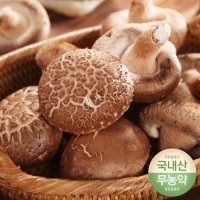 전남 함평 무농약 생표고버섯 파지 8kg/10kg