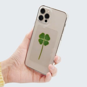 네잎클로버 코팅카드 투명100장 생일선물 행운부적 네잎크로버 생일카드 개업 답례품