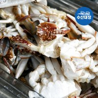 손질 절단꽃게 450g 업소용 손질 꽃게 냉동게 육수용 무침