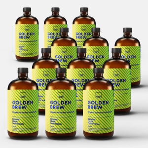 [12병] 골든브루 유기농 콤부차 레몬밤 패밀리팩
