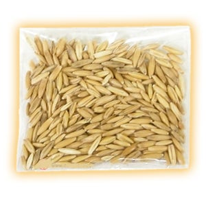 캣그라스 50g 보리 고양이 캣닢