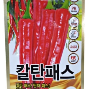 칼탄패스 고추종자 1200립 복합내병계 복합내병성 칼라병탄저병역병오이모자이크바이러스 농우바이오