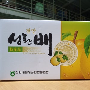 배짱농부 천안 성환배 못난이 흠집 가정용 식당 업소용 7.5kg 15kg 신고배 과일선물