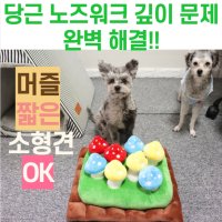 개 강아지 애견 당근버섯 노즈워크 코 담요 코곱창 매트 분리불안 장난감 먹이퍼즐 혼자두기