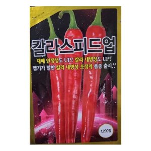 칼라스피드업 1200립 재배안전성 칼라내병성 맵기가 덜한 조생계 품종